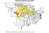 FBN Pest Report - June 2023