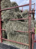 hay and straw for sale