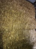 I have a proximately 250 large square 3 x 3 x 8 oat Straw Bales For sale.