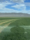 Nevada 960 acre Alfalfa Hay ranch for sale producing 4000+-tons annly, abundant water rights+wells