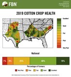 Cotton Crop Health - Poll Results, July 25, 2019 (Post your field pictures.)