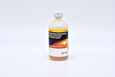 Bovilis Vision CD-T with SPUR