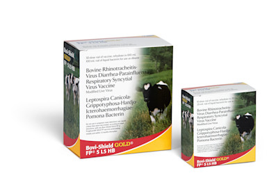 Bovi-Shield GOLD FP 5 L5 HB