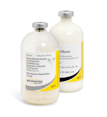 Bovi-Shield Gold One Shot