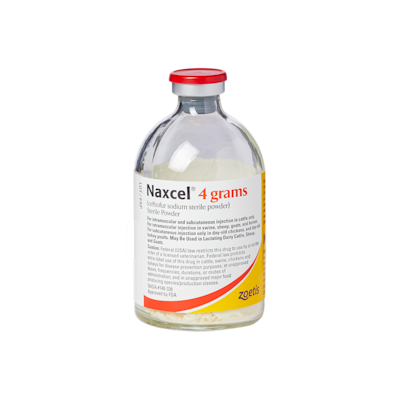 Naxcel Sterile Powder