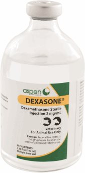 Dexasone® 2 mg/mL Injection Solution