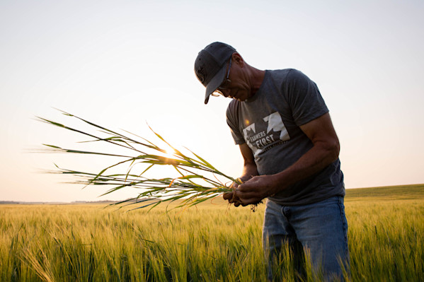 2021 Canada Spraying 21 (1)