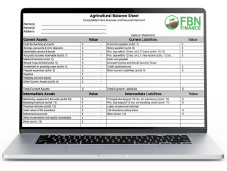 Image of FBN's balance sheet template
