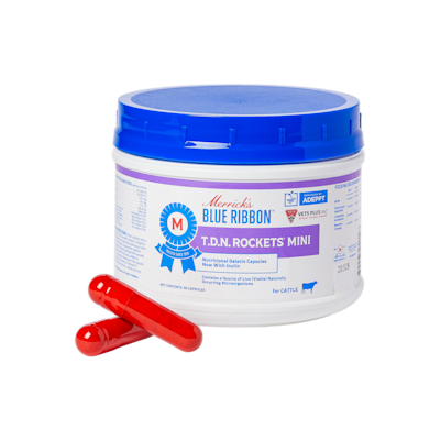 TDN Rockets Mini Bolus