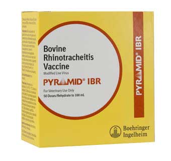 Pyramid® IBR, 50 Dose