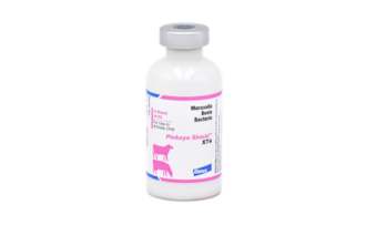 Pinkeye Shield® XT4