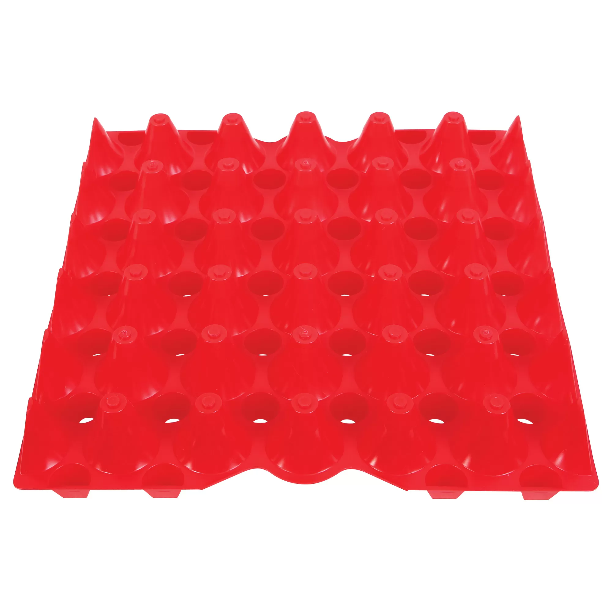Kuhl Plastic Egg Tray