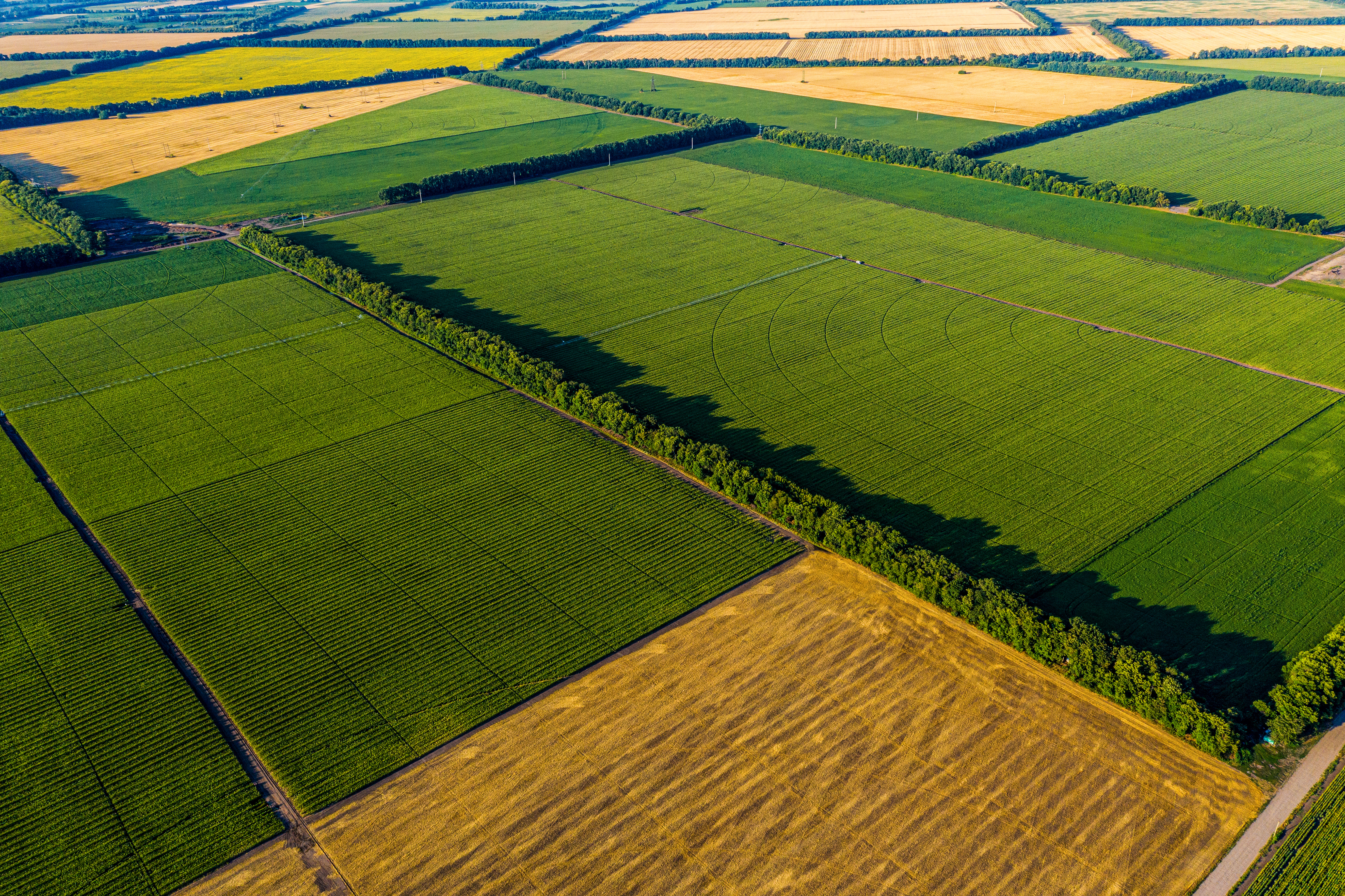 Aerial view of a set of fields with different crops