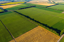 Aerial view of a set of fields with different crops