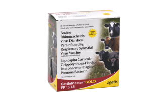 CattleMaster® GOLD FP 5 L5, 10 Dose