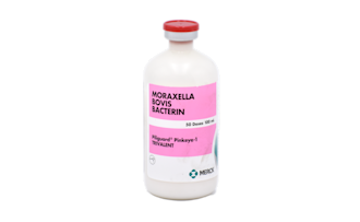 Bovilis® Piliguard® Pinkeye