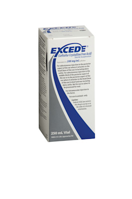 Excede® for Cattle