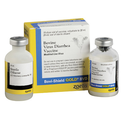 Bovi-Shield GOLD BVD