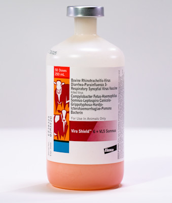 Vira Shield 6 + VL5 Somnus