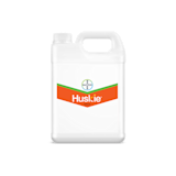 where to buy cinnamon plants Cassia Cinnamon (Cinnamomum cassia)