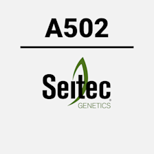 A502 | Apron XL® + Inoculant