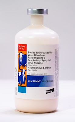 Vira Shield 6 + Somnus