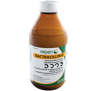 Bactracillin G Injectable Suspension (RX)